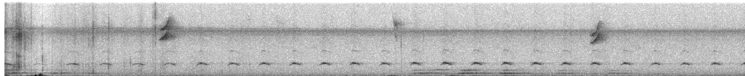 Лінивка-коротун сіродзьоба - ML610887307