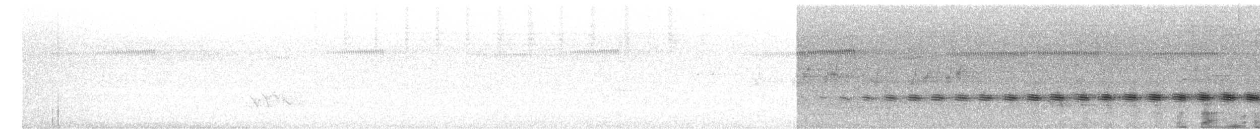 Échenilleur cigale (groupe tenuirostre) - ML610890153