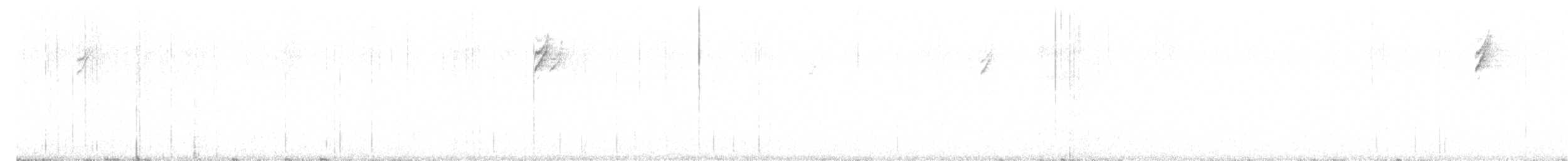 White-crowned Sparrow - ML610892807