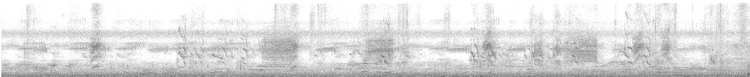 Райская мухоловка - ML610898883