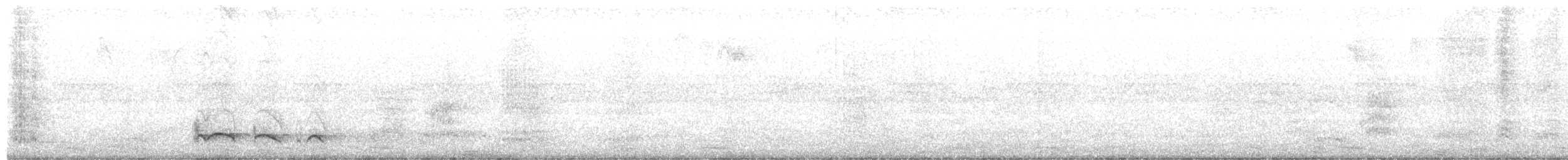 Лінивка-смугохвіст плямистобока (підвид striatipectus) - ML610908739