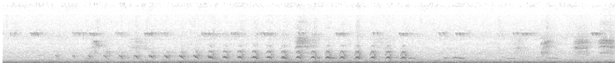 Синешапочный трогон - ML610910264