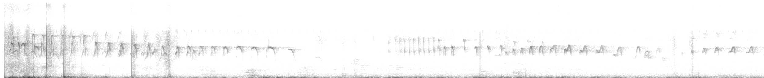 シロハラアマツバメ - ML610914431