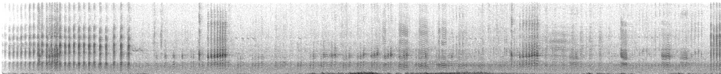 Black Noddy - ML610922869