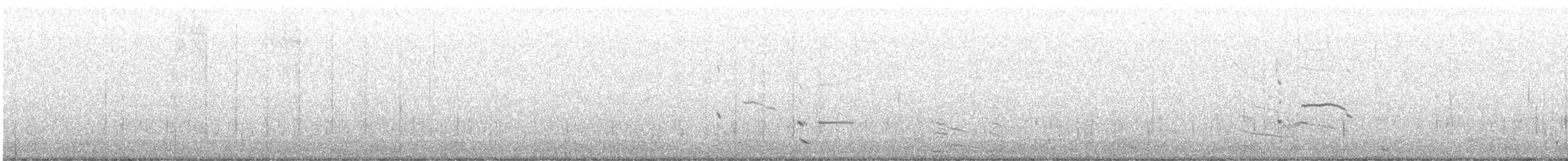 Cisne Trompetero - ML610930358