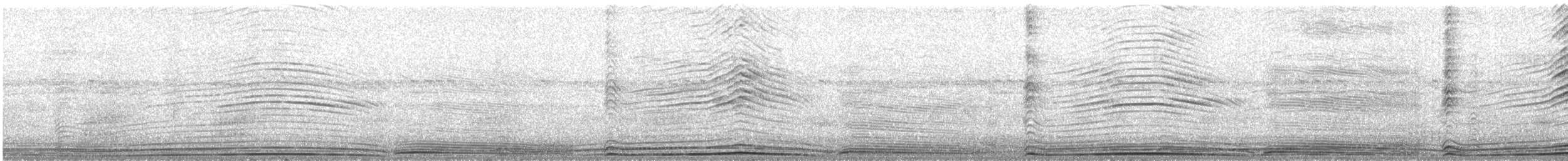 Wedge-tailed Shearwater - ML610938406