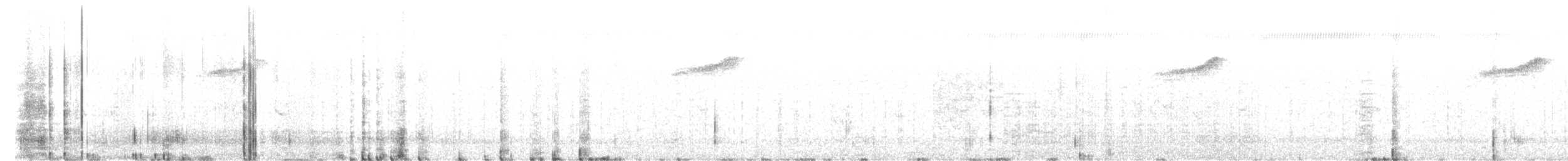 Stub-tailed Spadebill - ML610938535