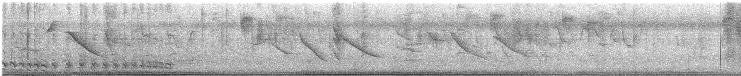 Bar-crested Antshrike - ML610945846