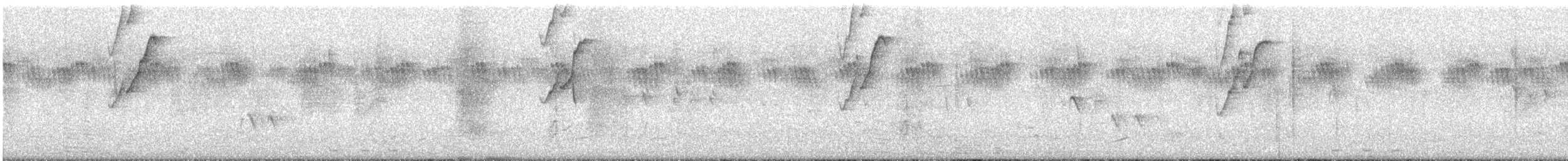 クロヒタキ - ML610948736