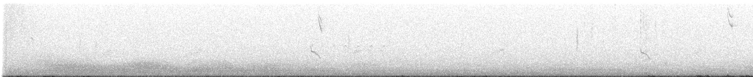 Подорожник лапландський - ML610951007