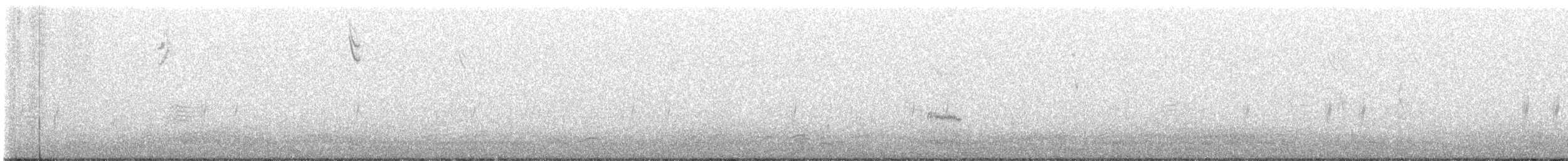 Шишкар ялиновий - ML610951035