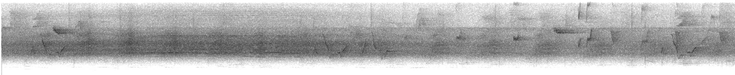 Віреончик білочеревий (підвид minor) - ML610952512