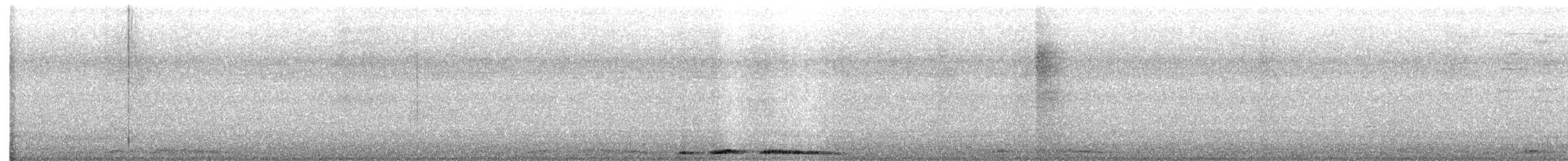 珠頸斑鳩(chinensis/tigrina) - ML610952550