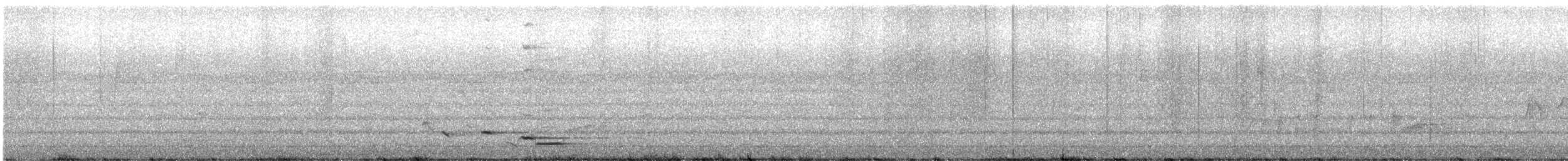 ミナミコウライウグイス - ML610952601