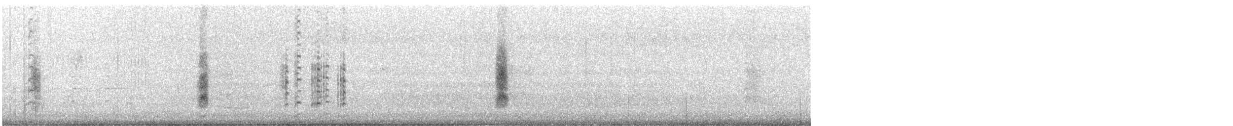 חרטומית סיבירית - ML610954343