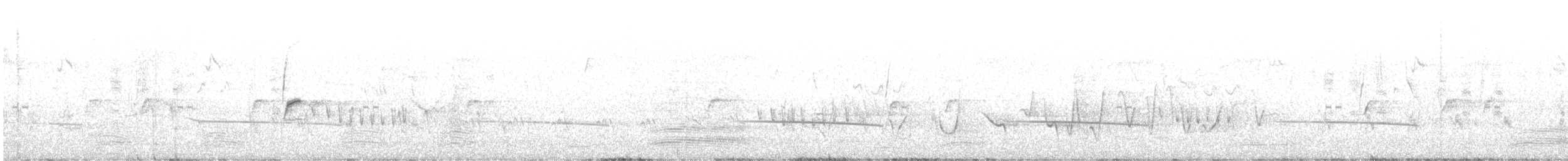 Black-eared Cuckoo - ML610957148