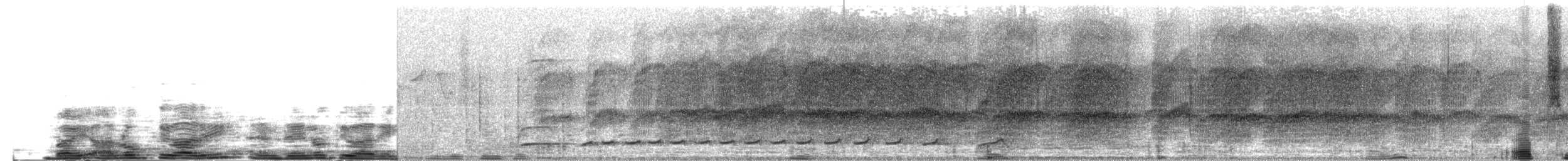 Slaty-headed Parakeet - ML610963725