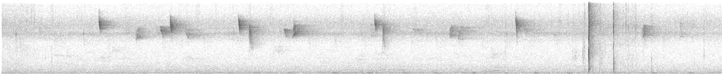 Northern/Mangrove Yellow Warbler - ML610970919