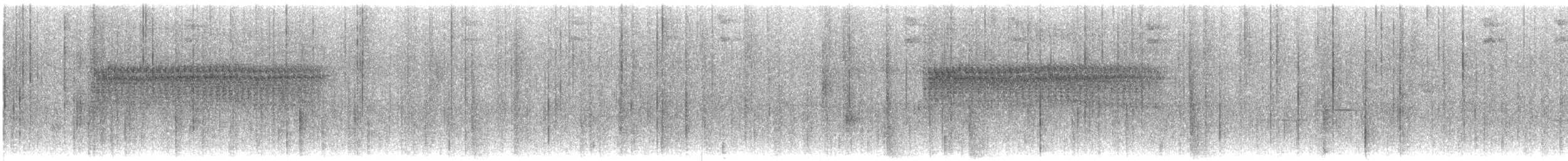 Percefleur à flancs blancs - ML610972565