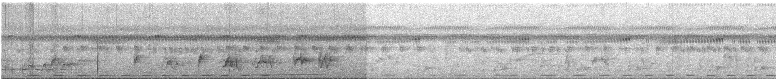 Stahlflecktaube - ML610977522