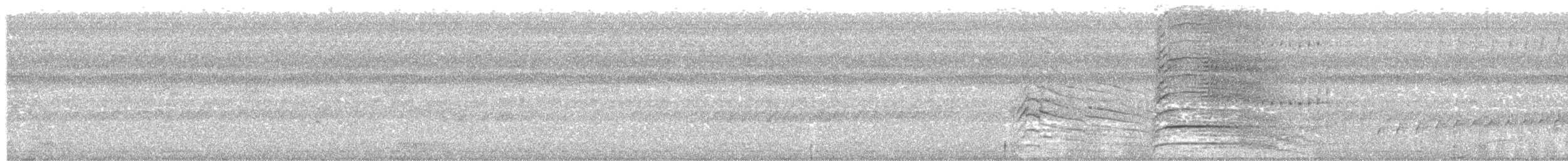 Point-tailed Palmcreeper - ML610983896