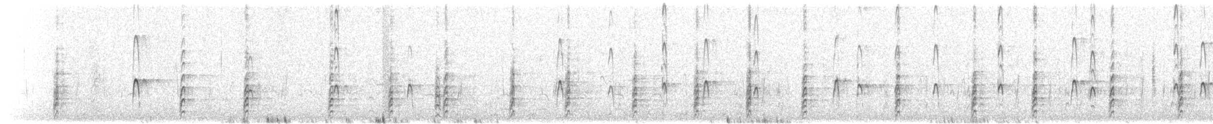 svartkronestylteløper - ML610987844