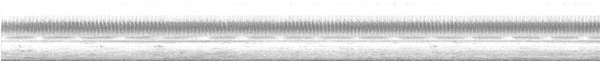 Jerdon's Nightjar - ML610991948