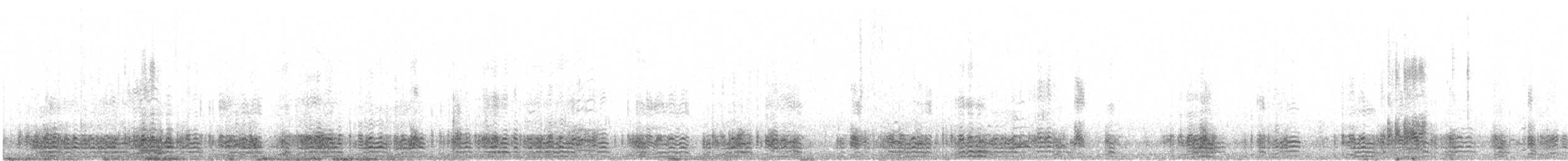 berneška tmavá (ssp. bernicla) - ML610995992