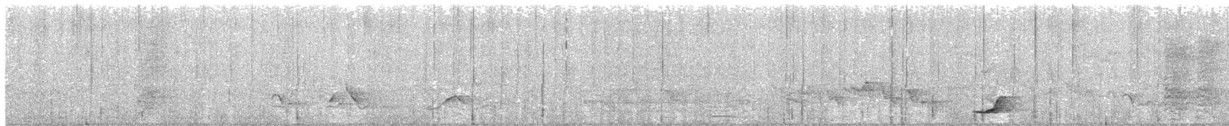 Pale-browed Tinamou - ML610999259