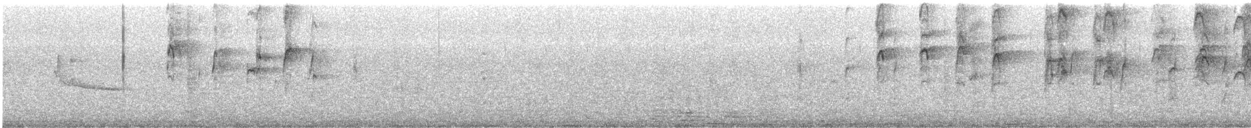 カタジロアマツバメ - ML611008824