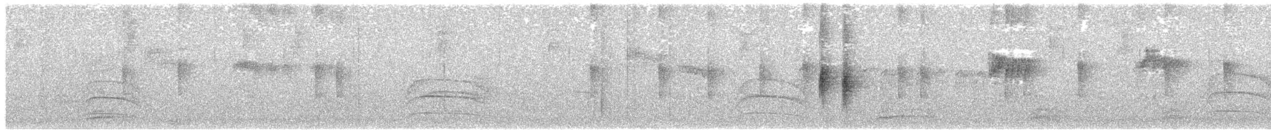 Вилохвостый тиранн - ML611013375