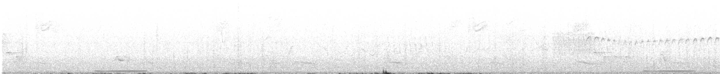White-tipped Dove - ML611016659