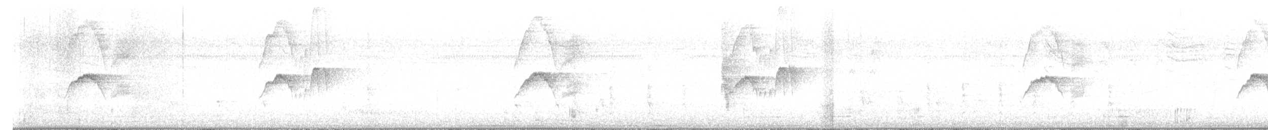 Weißbauch-Phoebetyrann - ML611017473