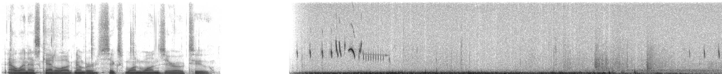 Rotdünenlerche (erythrochlamys) - ML61102