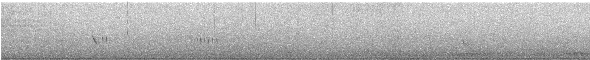 Plectrophane lapon - ML611021132