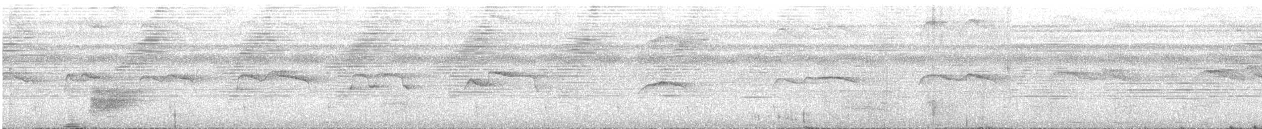 Harpage bidenté - ML611023943