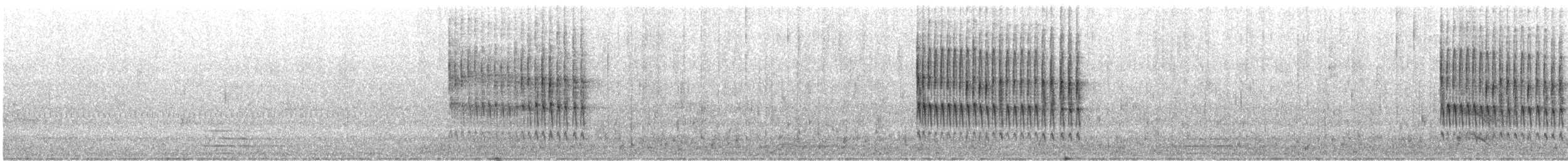Troglodyte des forêts - ML611026465