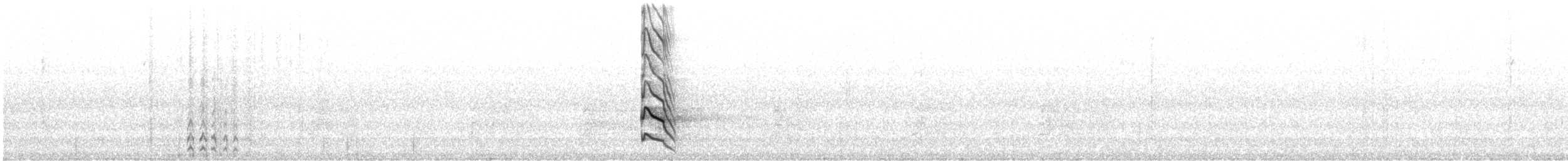 Шилоклювый дятел (auratus/luteus) - ML611026529