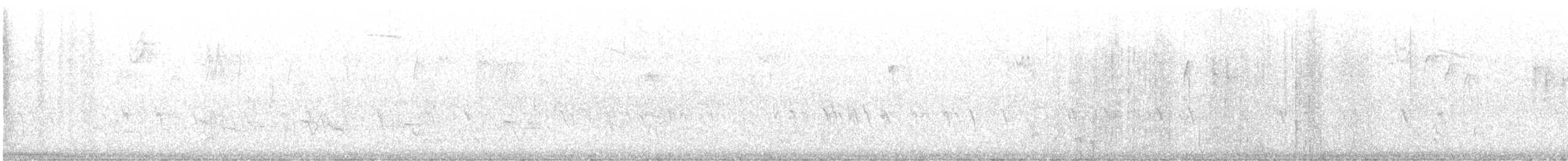 Шишкар ялиновий - ML611027262