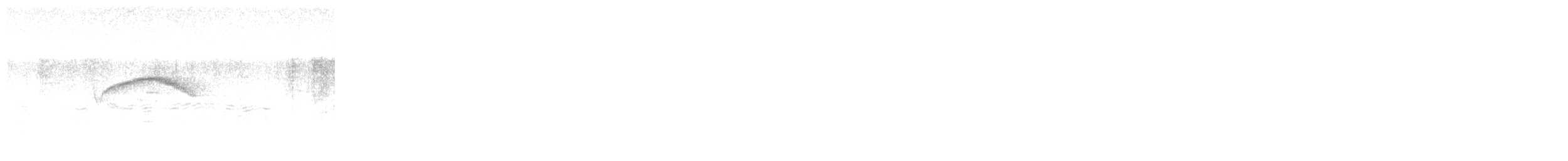 Chestnut-bellied Chat-Tyrant - ML611029944