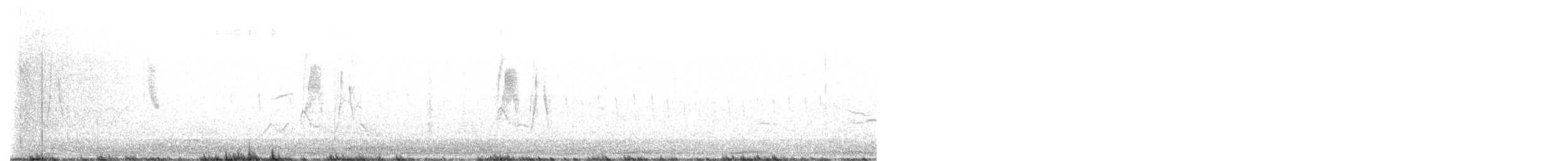 Weißbauch-Dickichtschlüpfer - ML611037363