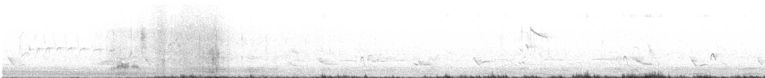 Güneyli Bıyıksız Tiranulet - ML611037366