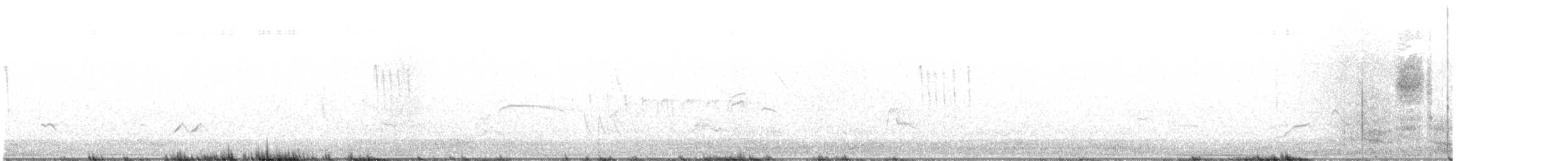 White-crested Tyrannulet - ML611037383