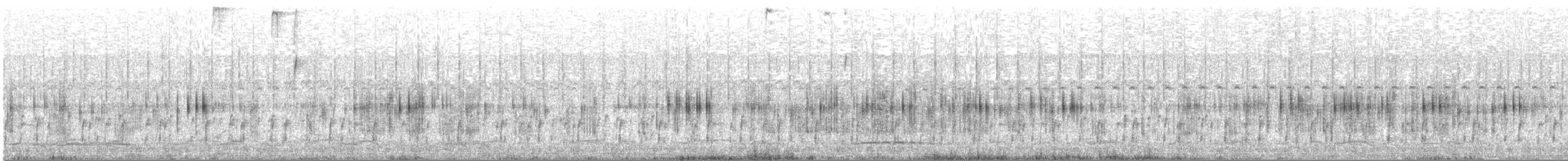 Doradite de Sclater - ML611039380