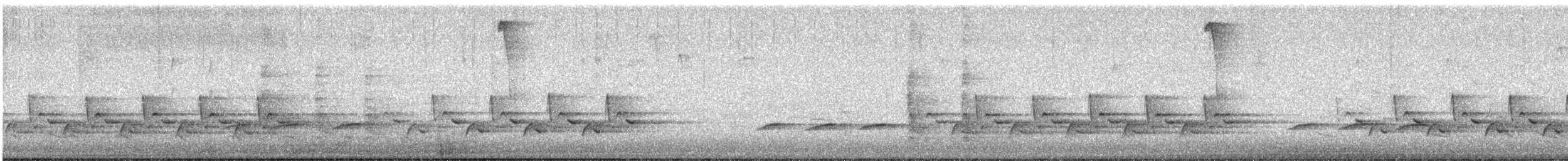 Carolina Wren - ML611044321