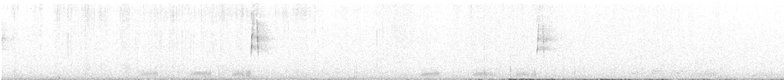 sluka lesní - ML611045796