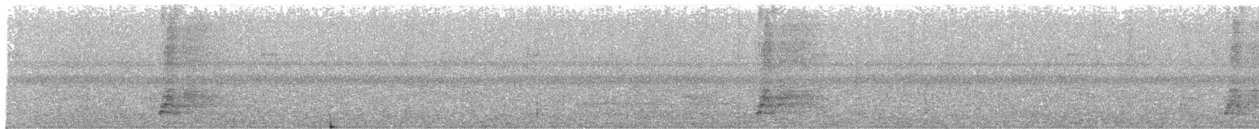 Solitary Black Cacique - ML611048761