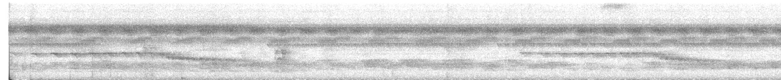 Grauwangen-Ameisenvogel - ML611052858