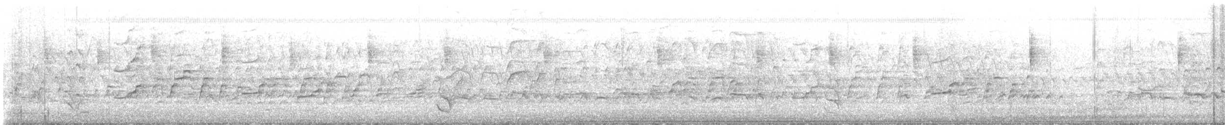 Kara Karınlı Islıkçı Ördek - ML611053291