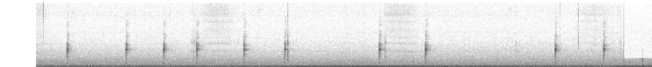Râle tapageur (saturatus/scottii) - ML611059196